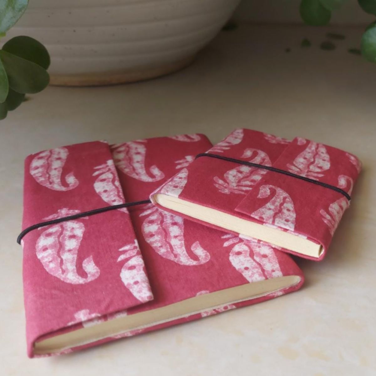 Handcrafted Diary- Red (Set of 2) - Ramanika